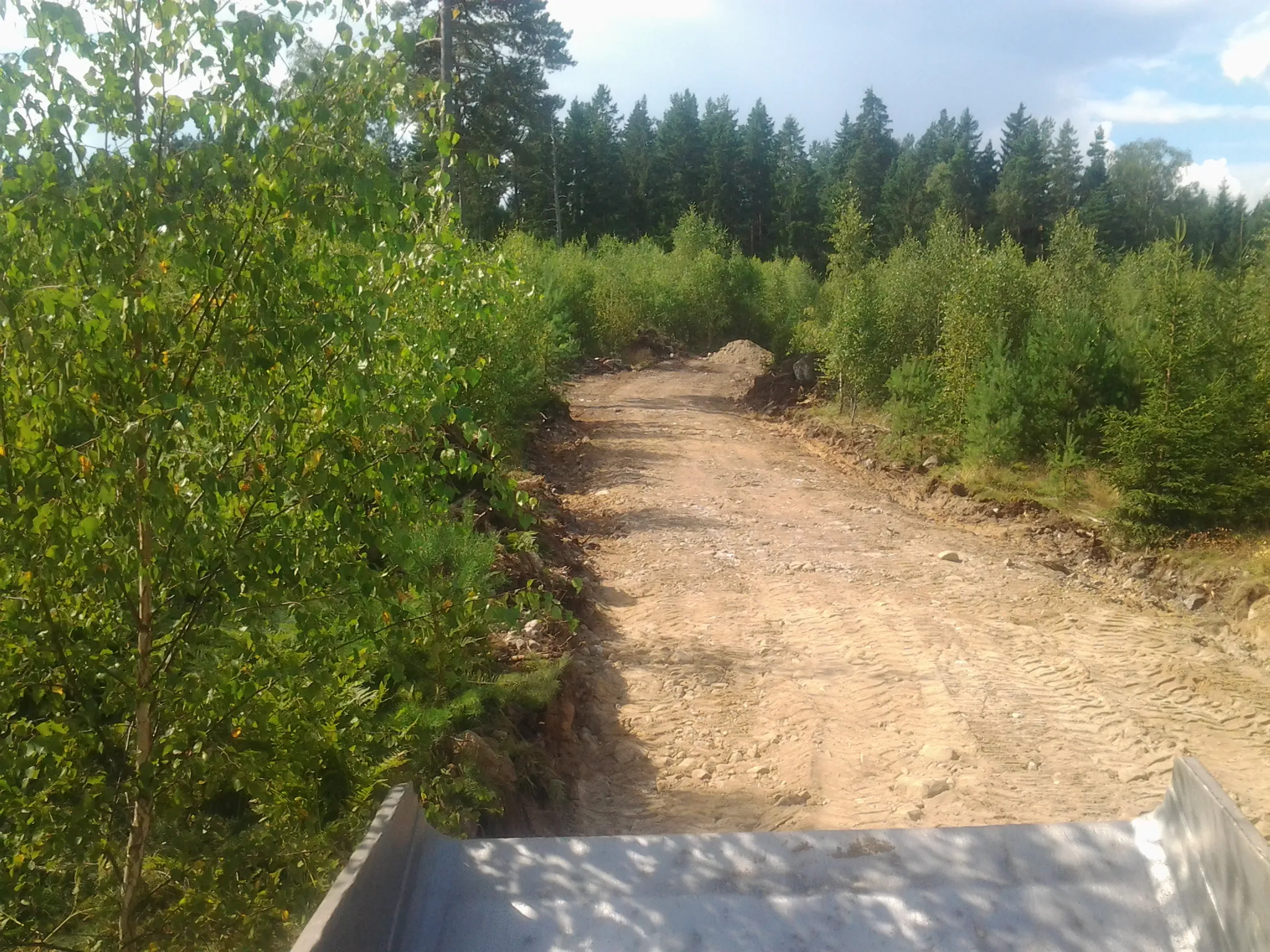 Nyanlagd grusväg genom skogen