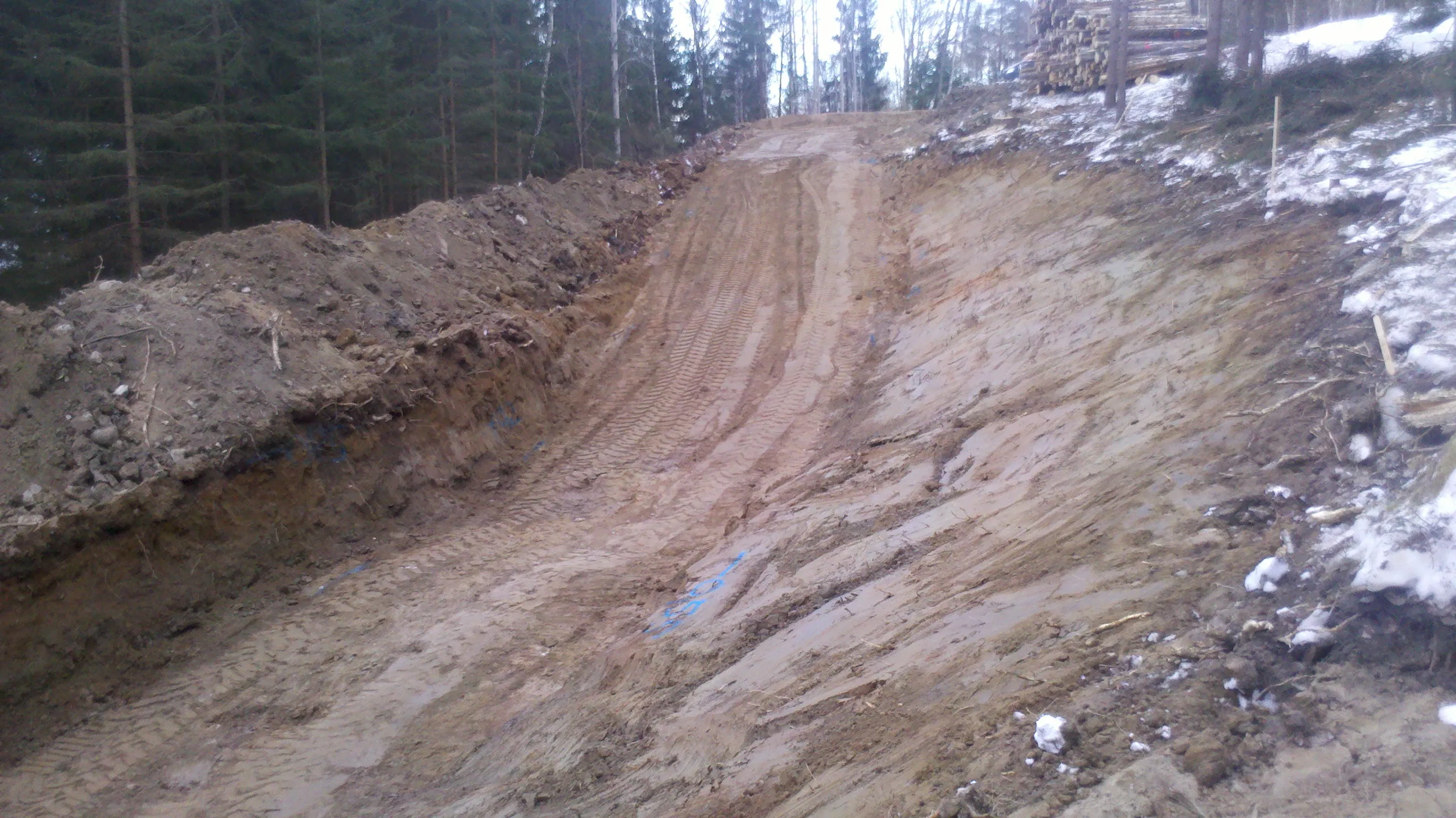 Utgrävd slänt i skogen